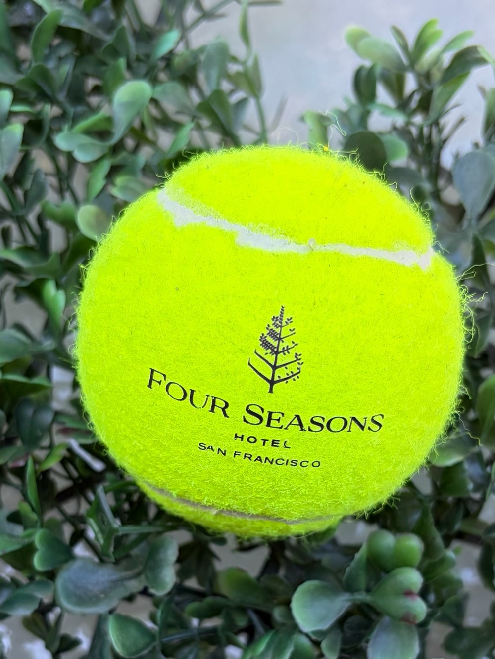 Collectible - Four Seasons Hotel San Francisco Tennis 🎾 Ball